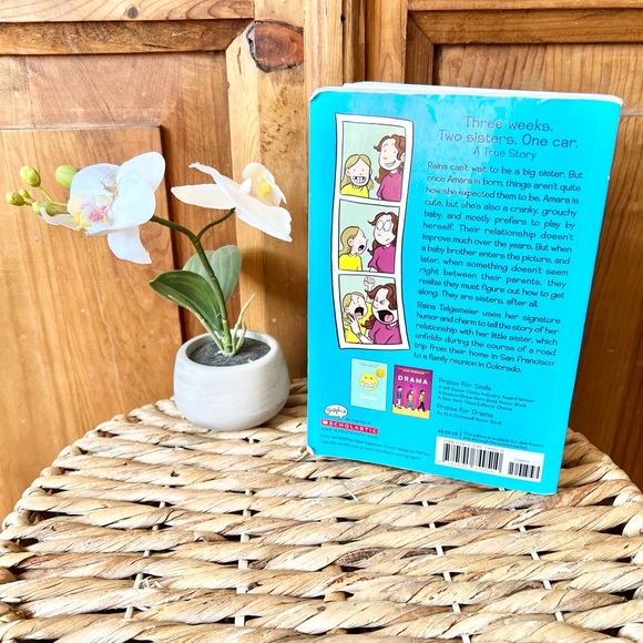 Tween Paperback Book Set Smile & Sisters By Raina Telgemeier - Picture 6 of 7